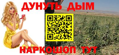 apvp Канаш