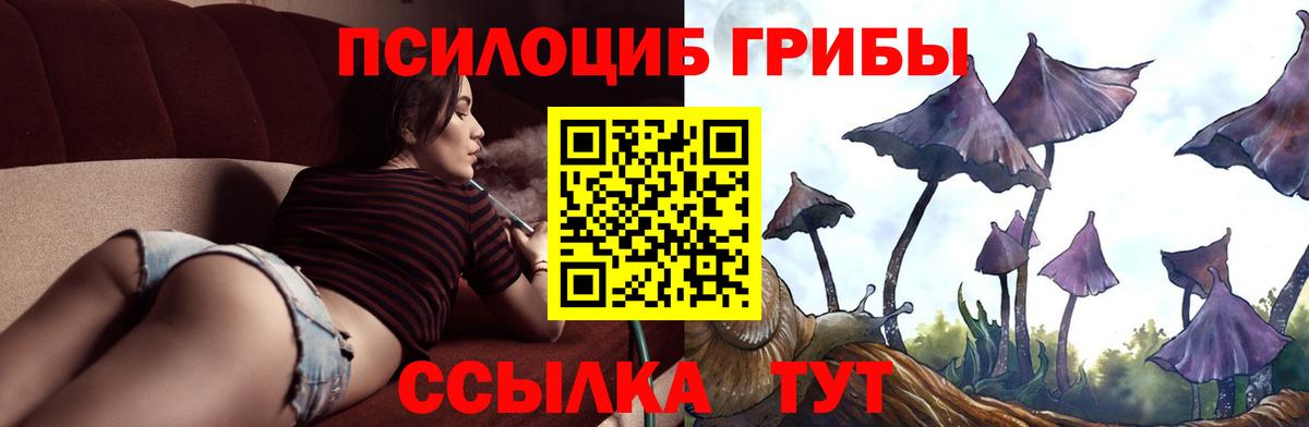 Галлюциногенные грибы MAGIC MUSHROOMS  Вход с VPN  Котельники  Галлюциногенные грибы Psilocybe 